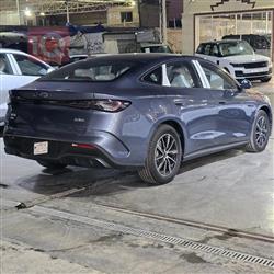 بي واي دي سيل 06 DM-i